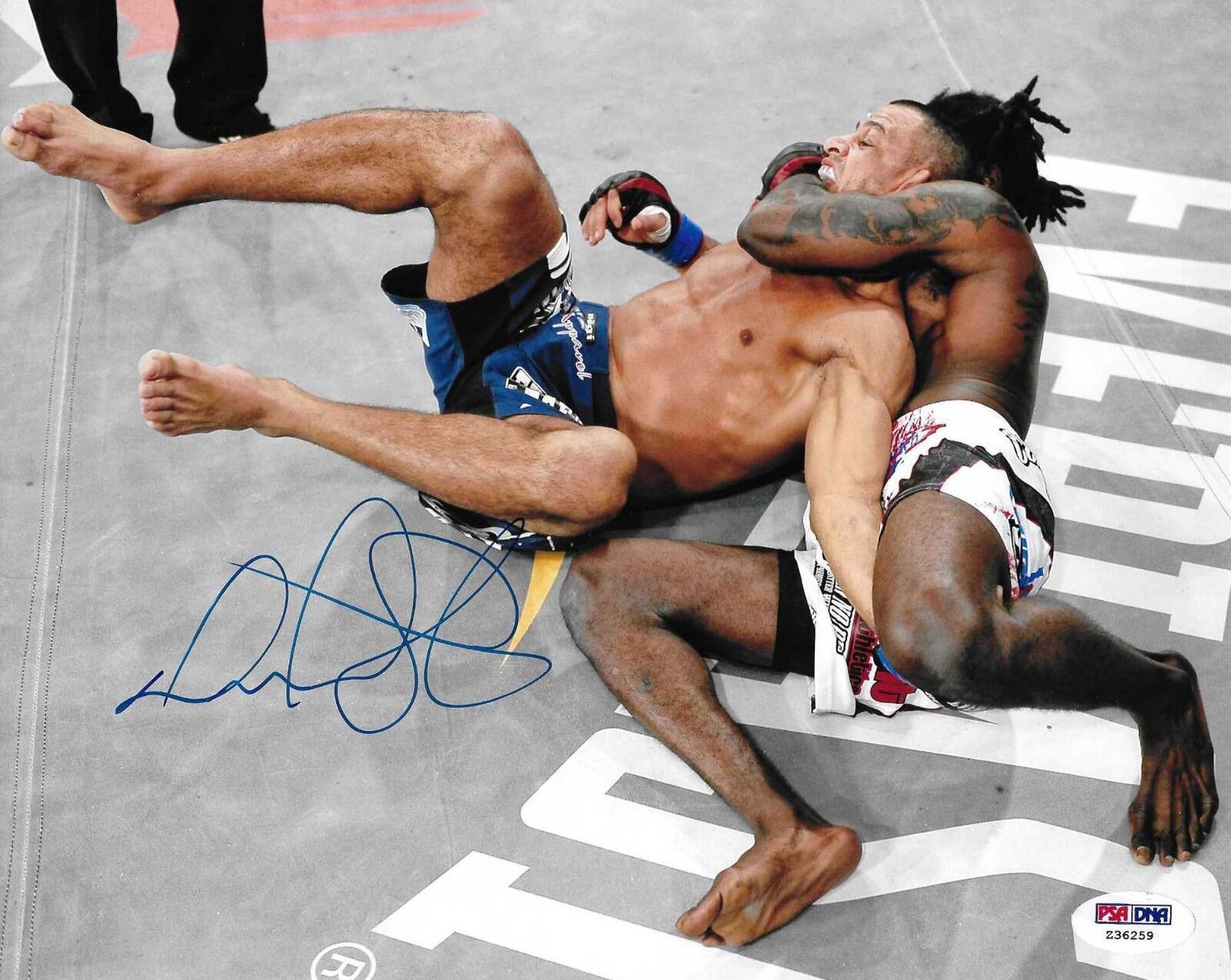 Daniel Straus Signed Bellator MMA 8x10 Photo Poster painting PSA/DNA COA UFC Picture Autograph 6