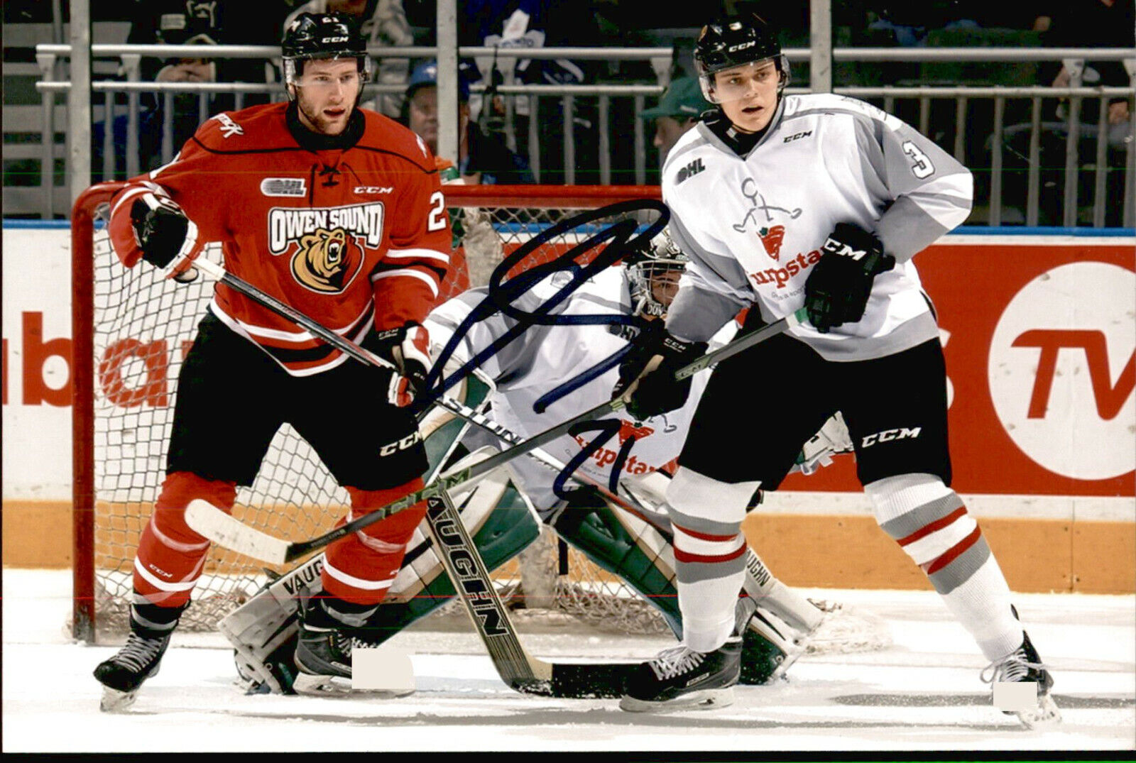 Jonah Gadjovich SIGNED 4x6 Photo Poster painting OWEN SOUND ATTACK / SAN JOSE SHARKS