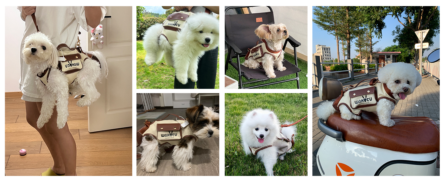 Dog Harness Dog Lift Harness