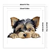 Yorkshire Terrier-11CT Stamped Cross Stitch 40*40cm/15.75*15.75in tapestrymarket
