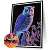 >SALE<5D DIY Partial Special Shaped Drill Diamond Painting Kit Owl Home Decor (LY012)