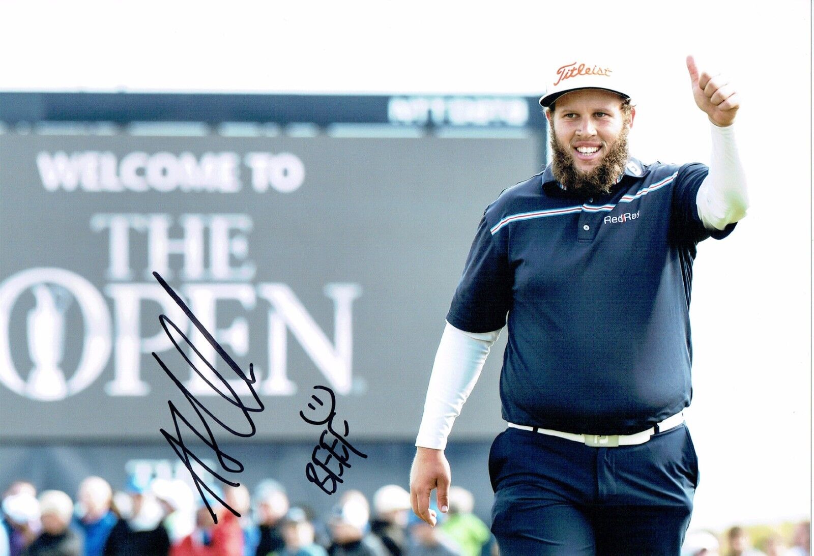 Andrew BEEF JOHNSTON Signed 12x8 Golf Photo Poster painting 4 Autograph AFTAL COA