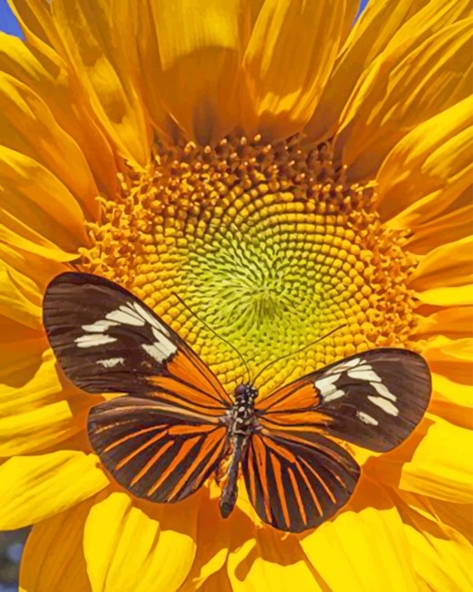 

Sunflower Butterfly – Paint By Numbers - 40*50CM, 501 Original