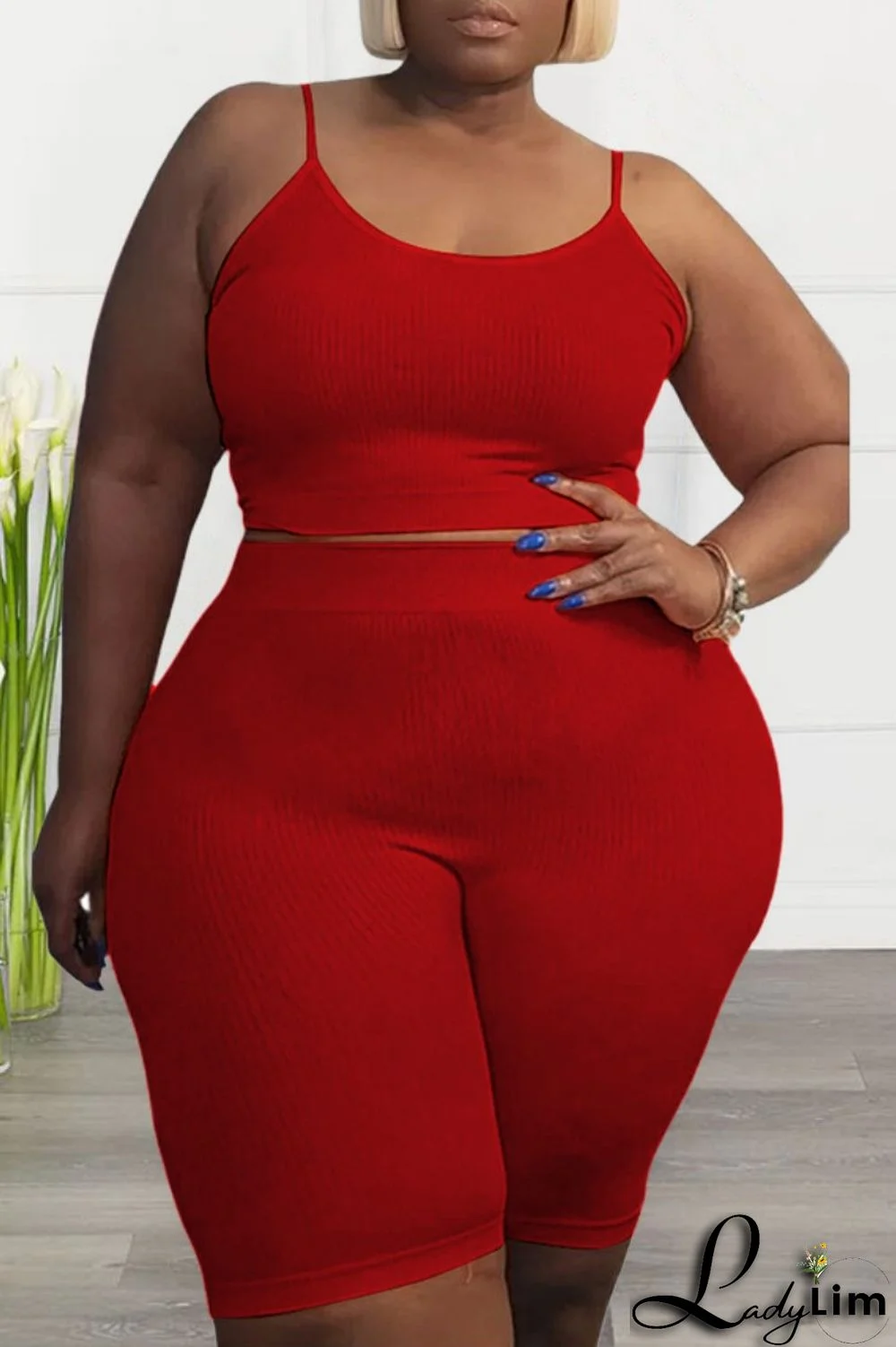 Black Sexy Casual Solid Backless Spaghetti Strap Plus Size Two Pieces