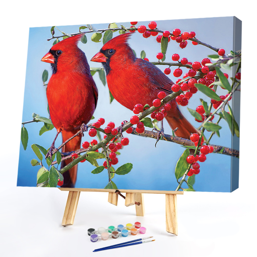 

50*40CM - Paint By Numbers - Birds, 501 Original
