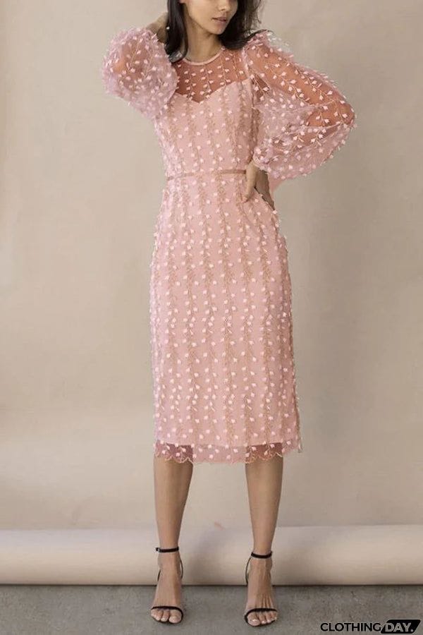 Floral Passions Embroidered Sheer balloon sleeve Fitted Midi Dress