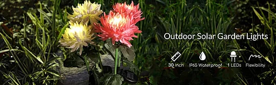 solar  lights