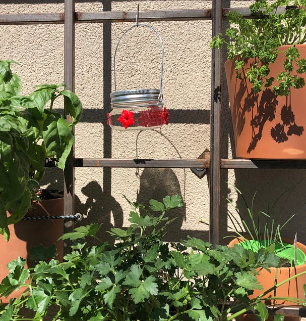 Mason Jar Hummingbird Feeders