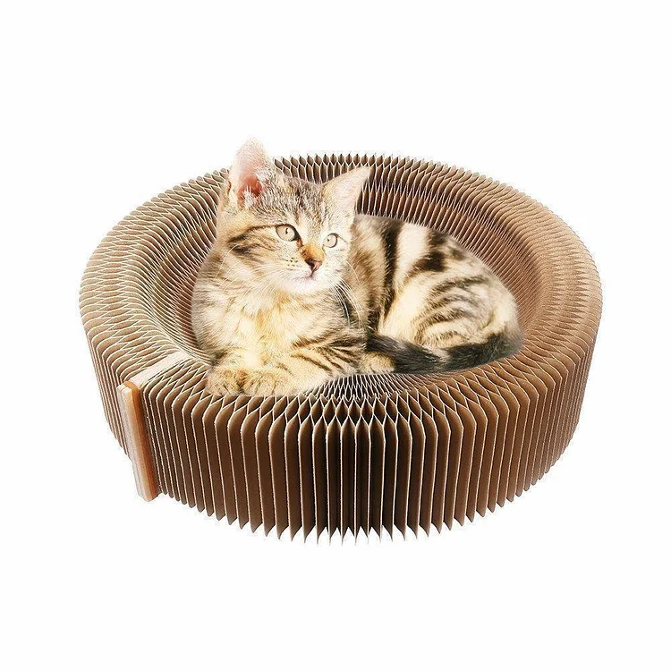 Collapsible Cat Scratcher