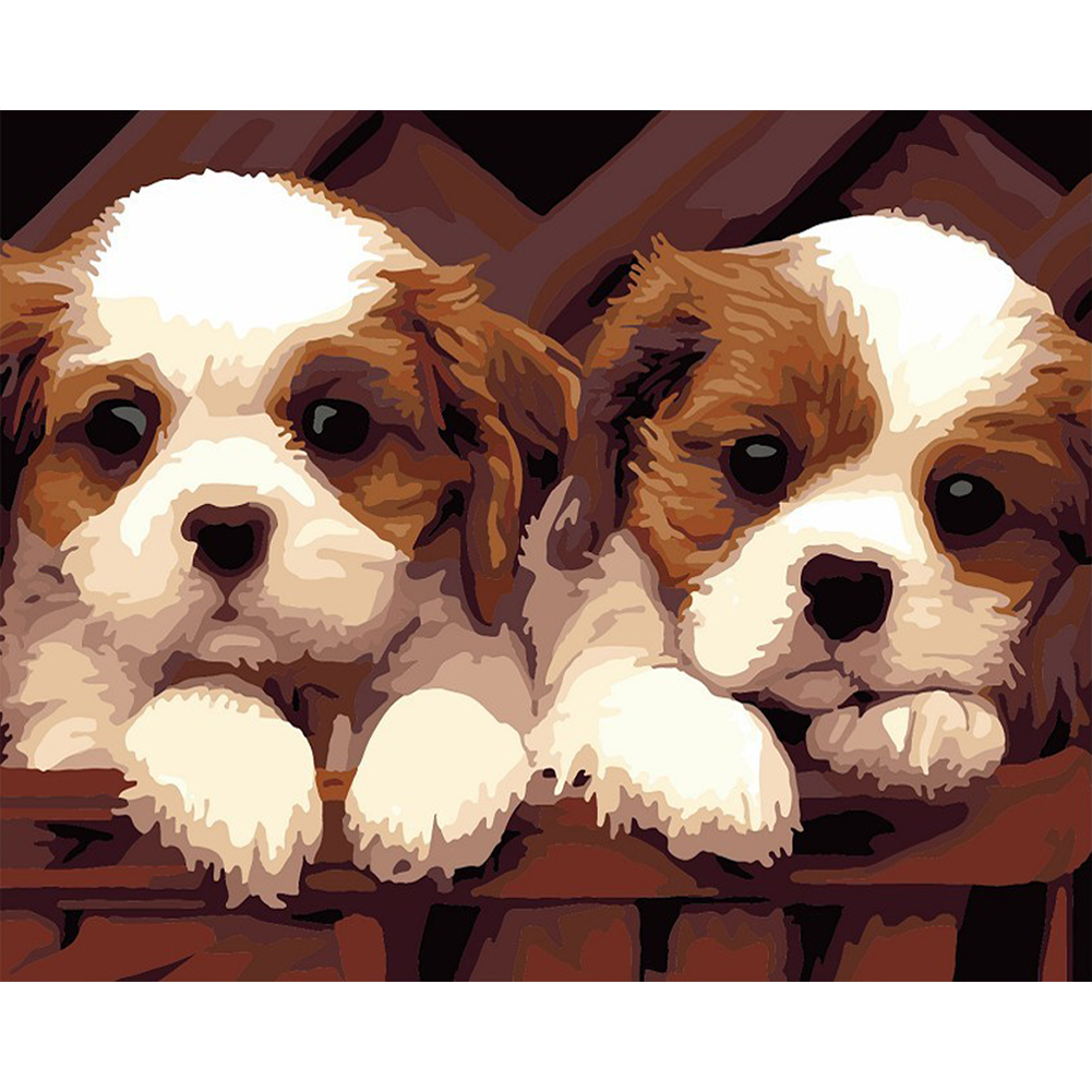 

40*50cm - Painting By Numbers - Cute Dog, 501 Original