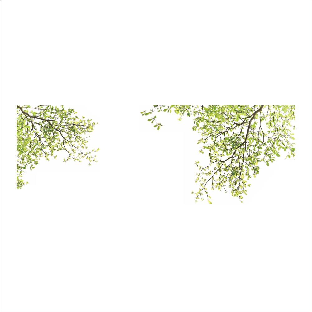 

Green Tree Branch Removable PVC Wall Sticker Decal Home Decor Art Mural, 501 Original