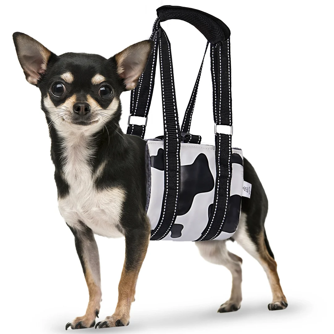 Dog Lift Harness Large Small Medium Sized Dogs,Dog Sling Support Harness Rear for Back Legs Senior Assist Hip Recovery Black White (S)