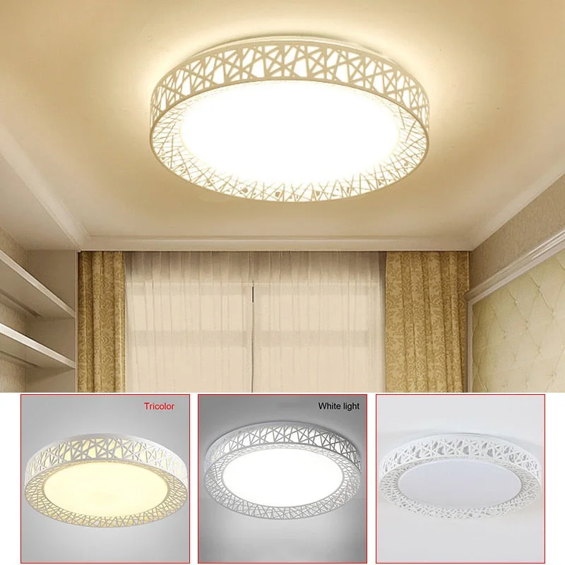 LED Ceiling Light Bird Nest Round Lamp Modern Fixtures For Living Room Bedroom Kitchen PAK55