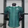 Joyfball 2025/2026 Player Version Plymouth Argyle Home Football Jersey（The player version jersey is a bit tight, please pay attention to the size selection）