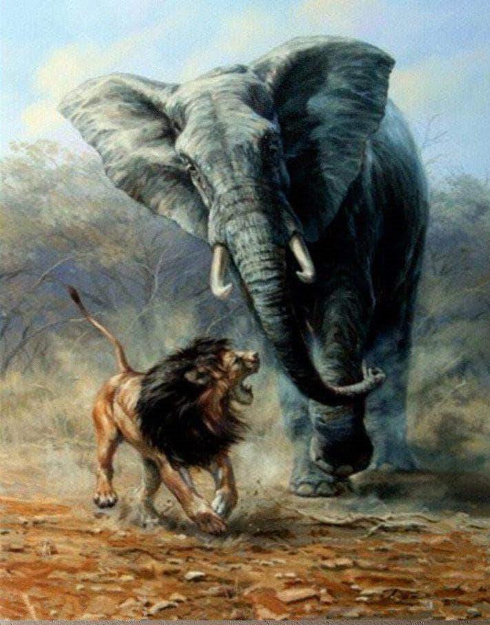 

Lion and Elephant – Paint By Numbers - 40*50CM, 501 Original