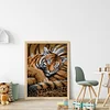 Tiger Cub - 11CT Stamped Cross Stitch 27*37cm(Brand)