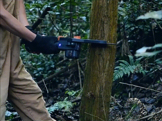 Serras_lote 00_00_00-00_00_30.gif