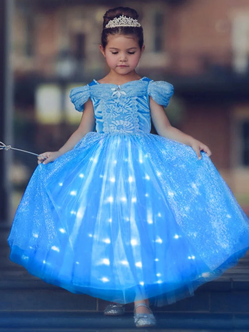Blue Party Princess Light up  Dress up Costume