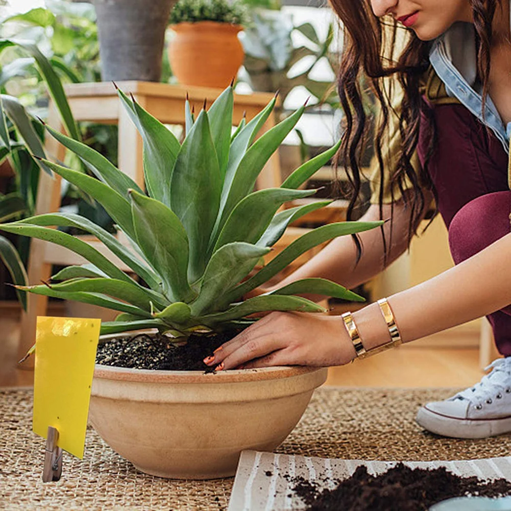 50pcs Strong Flies Traps Bugs Sticky Board Catching Insects Pest Killer