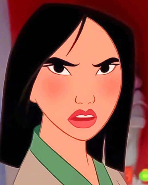 

Angry Mulan – Paint By Numbers - 40*50CM, 501 Original