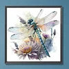(US Local)Dragonfly-Paint By Numbers Kit(40x40cm)