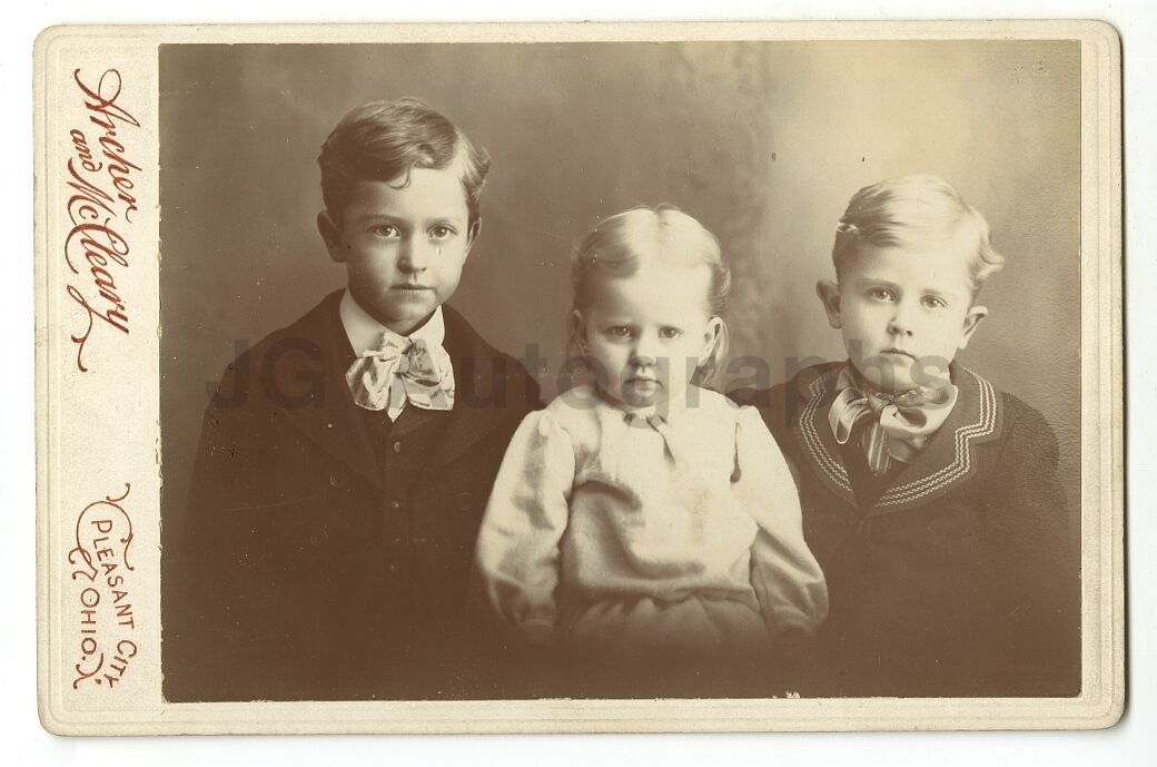 19th Century Children - 19th Century Cabinet Card Photo Poster paintinggraph - Pleasant City, OH