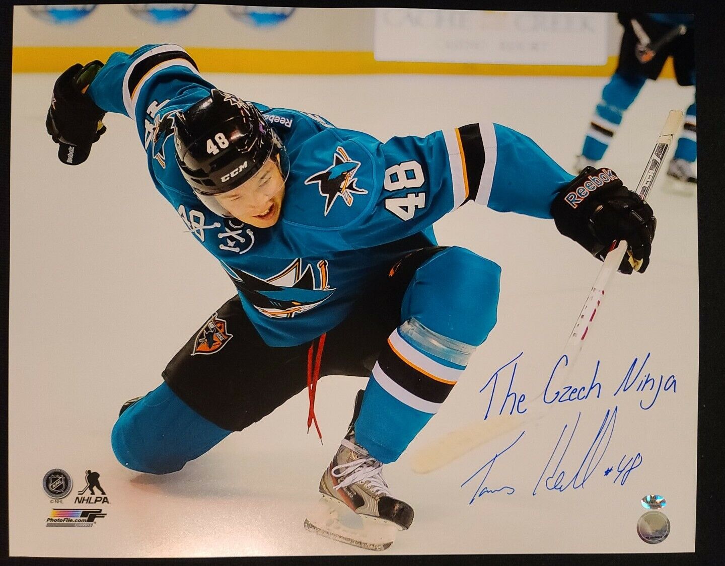 TOMAS HERTL San Jose Sharks Signed 16x 20 Photo Poster painting Insc. The Czech Ninja