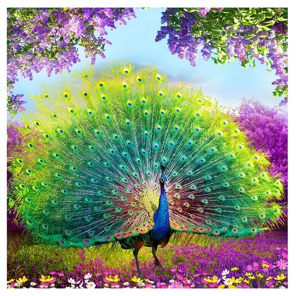 

35*35CM - Peacock - Round Drill Diamond Painting, 501 Original