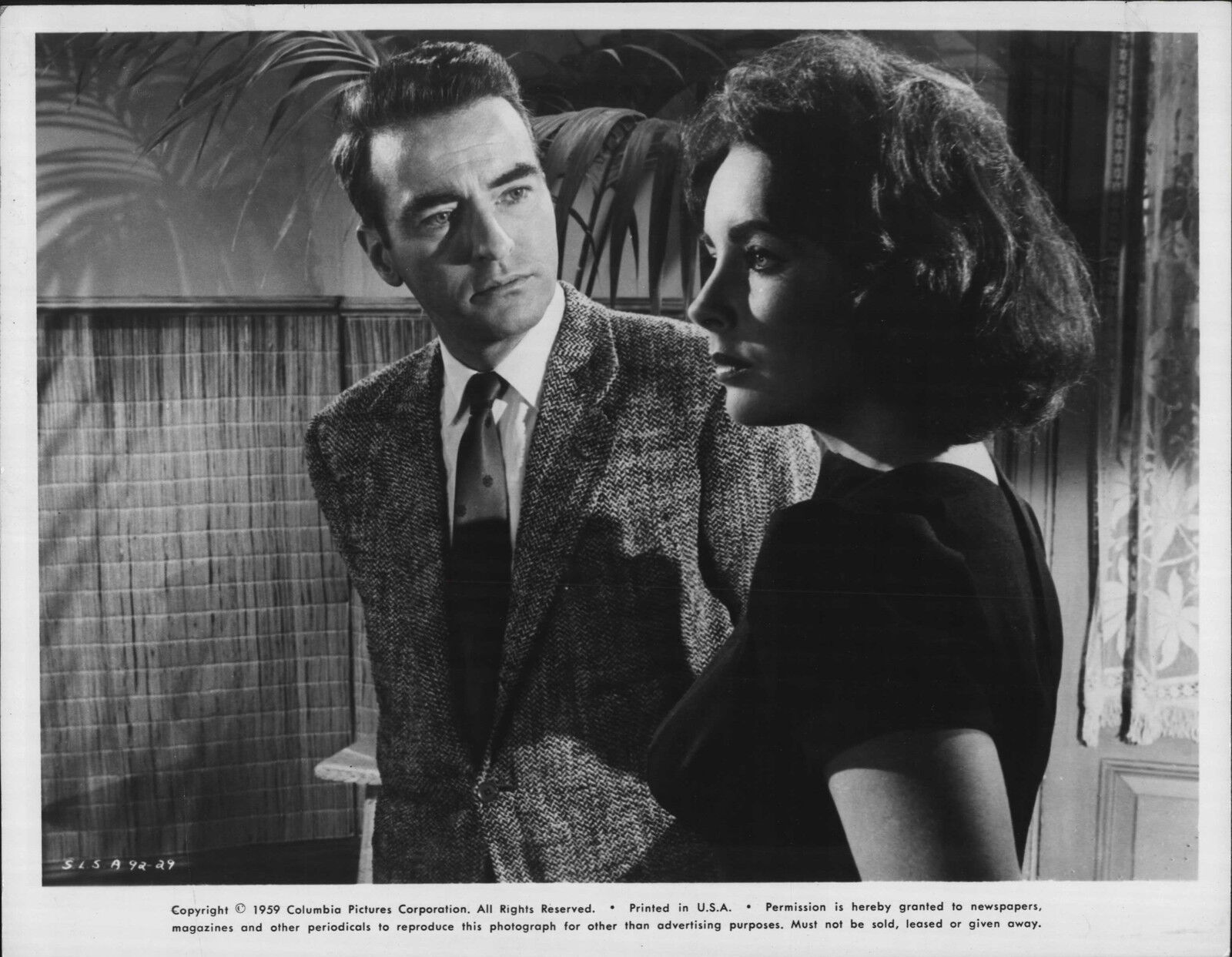 Elizabeth Taylor in Suddenly Last Summer Lot Of 7 Movie Publicity Press Photo Poster paintings