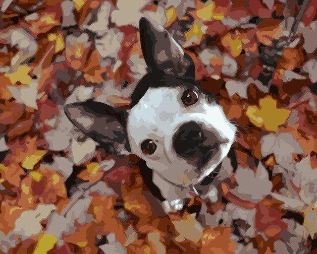 

Cute Dog in Forest – Paint By Numbers - 40*50CM, 501 Original