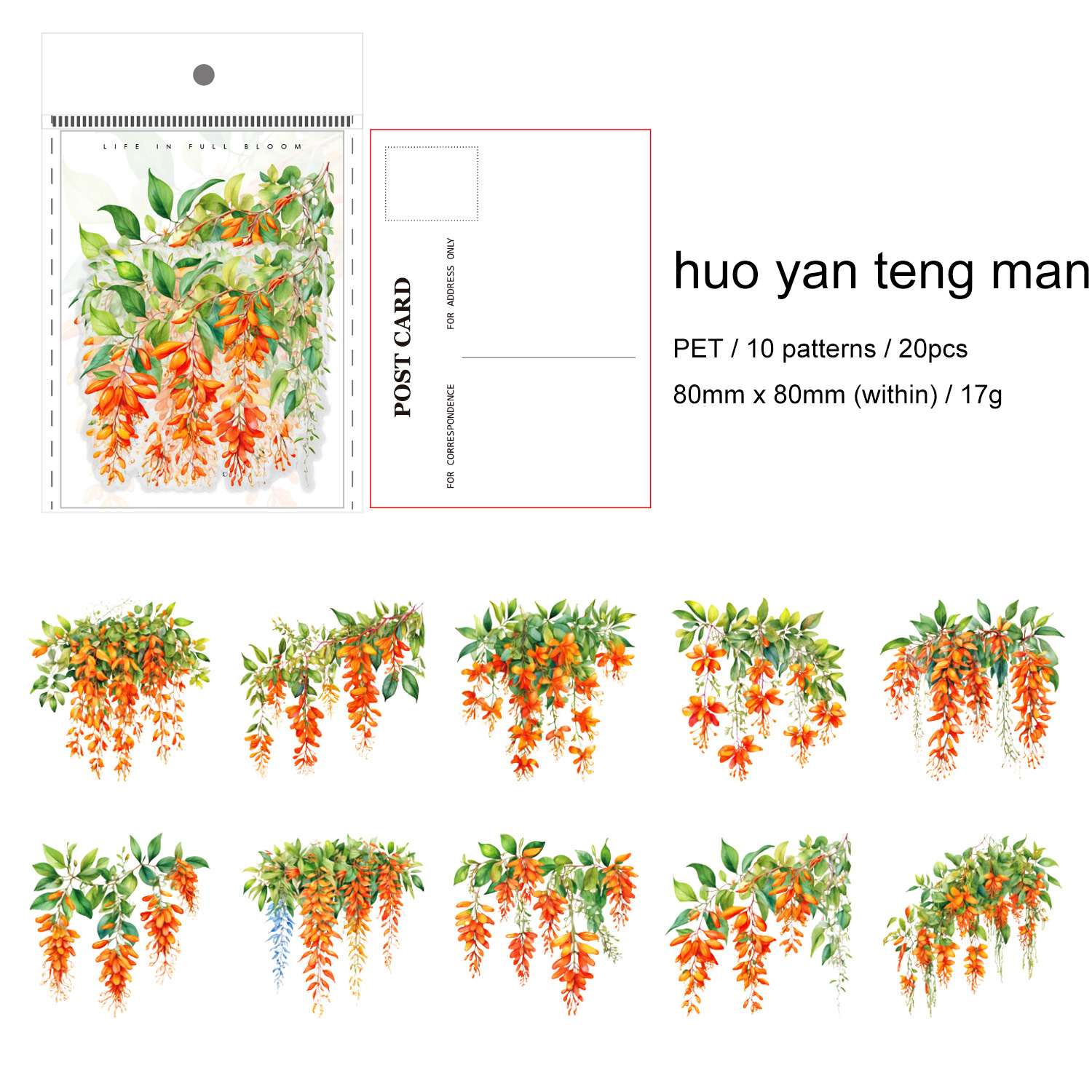 PET Sticker - Vine Branches and Vines Series Vintage Plant Flower Landscape 