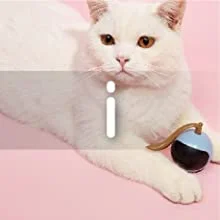 Cat Toys Interactive Toys Rolling Ball Toys Cat Wand Feather Teaser Toys Electronic Toys
