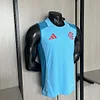2025-2026 Flamengo Training Vest  Football Shirt 1:1 Thai Quality
