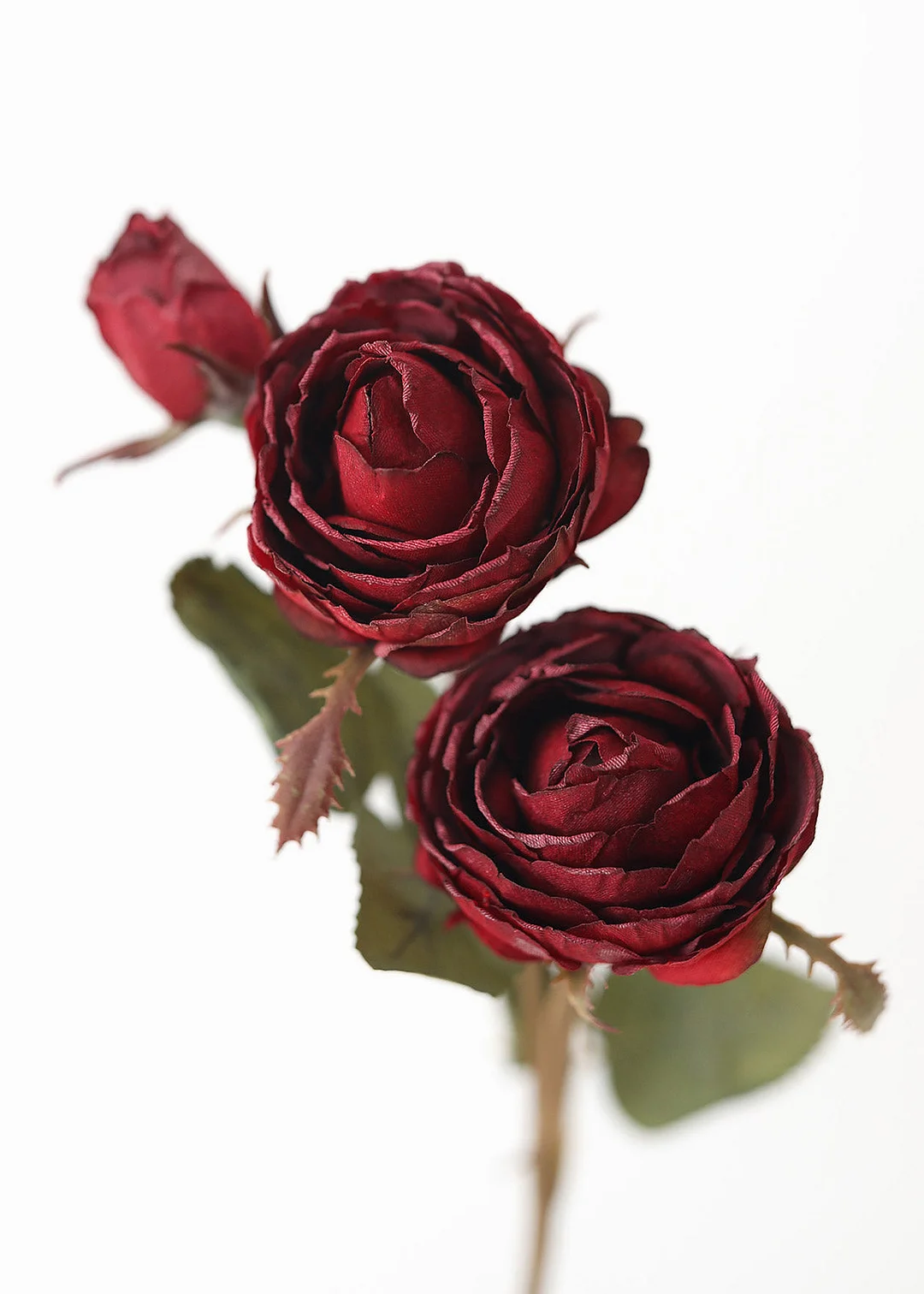 Burgundy Faux Dried Roses - 21"