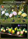Solar Garden Decorative Light LED Rose Shape Stake Light for Garden Yard Backyard Waterproof