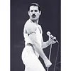 (Multi-Style) Freddie Mercury - 11CT Stamped Cross Stitch 40*50cm/15.75*19.69in