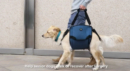 Dog Support Sling Harness Do For Your Pets