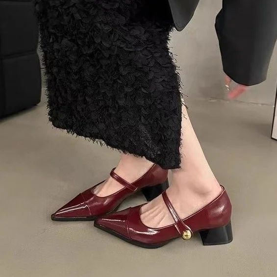 Yyvonne Small Leather Shoes Women 2025 New Spring Thick Heel Low Heel High Heels Retro French Temperament Mary Jane Single Shoes