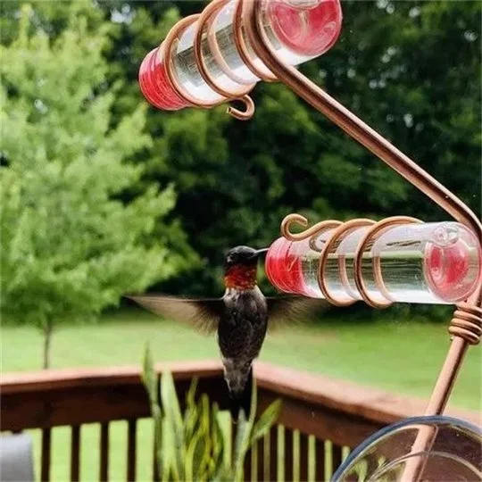Tube Hummingbird Feeder for Window