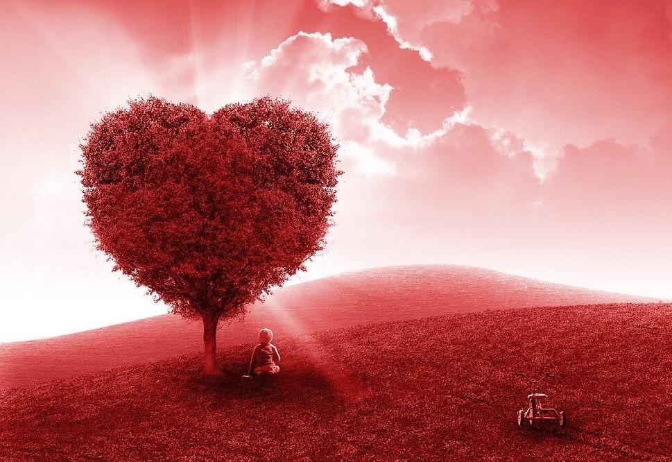

Red Love Tree – Paint By Numbers - 40*50CM, 501 Original