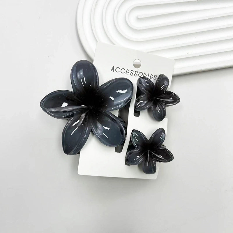 Vacation Modern Style Women’s Flower Resin Hair Claws