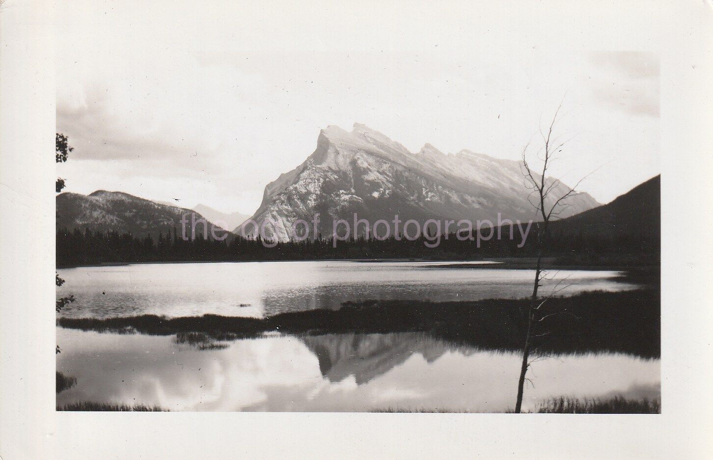 FOUND Photo Poster painting Original B and W Snapshot Photo Poster paintingGRAPHYDD 810 27 P