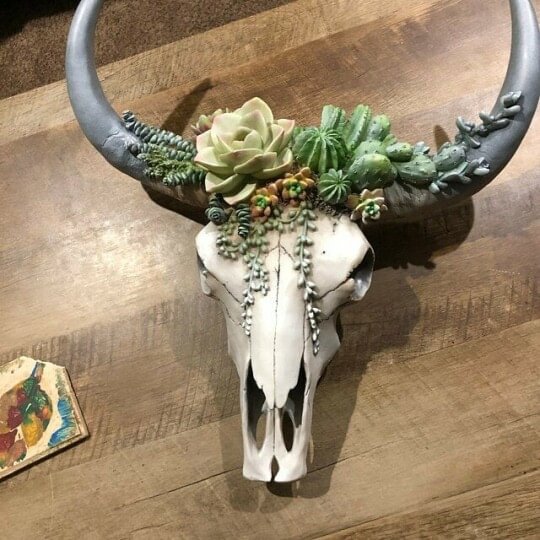 SUCCULENT/FLOWER COW SKULL WALL DECOR NURSERY DECOR