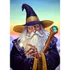 uk.everydayedeals (Limited Stock)Diamond Painting - Full Square - Wizard