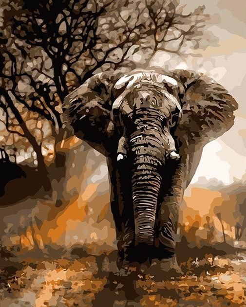

African Elephant – Paint By Numbers - 40*50CM, 501 Original