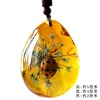 Insect Amber Pendant Natural Butterfly Specimen Insect Amber Necklace Children's Hanging Accessories