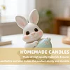 3D Easter Bunny Holding Eggs Silicone Candle Mould DIY Scented Candles Moulds Reusable Soft Silicone Crafting Tools For Easter Home Crafts Decorations Holiday