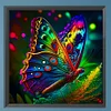 Butterfly-Carr&eacute; drill diamond painting-35*35cm