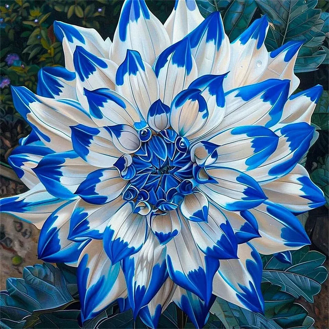 Blue Demon💙-Double dahlia bulbs