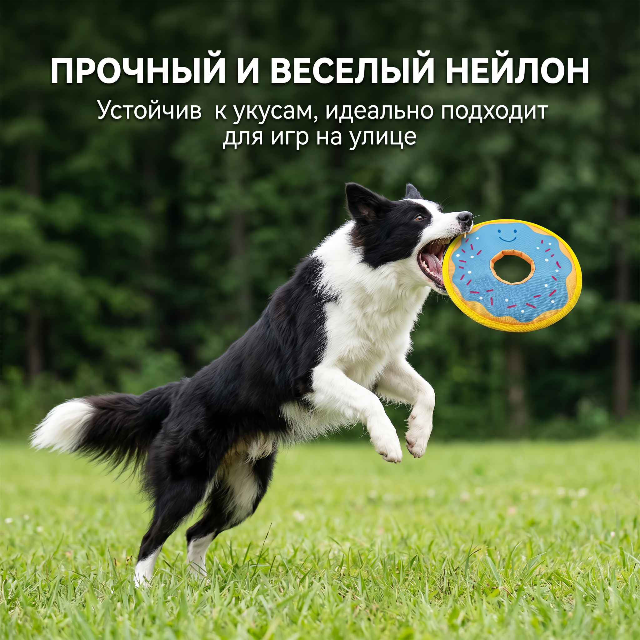 GOPET&reg; Пёс фрисби, собака, игрушка, мягкий фрисби, маленькая собака, дрессирующая собака.